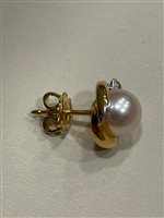 Orecchini Salvini Donna in Oro giallo Perla 0.08 Ct AOP32607 - AOP32607